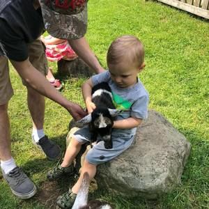 Meet your Posher, Demetrius